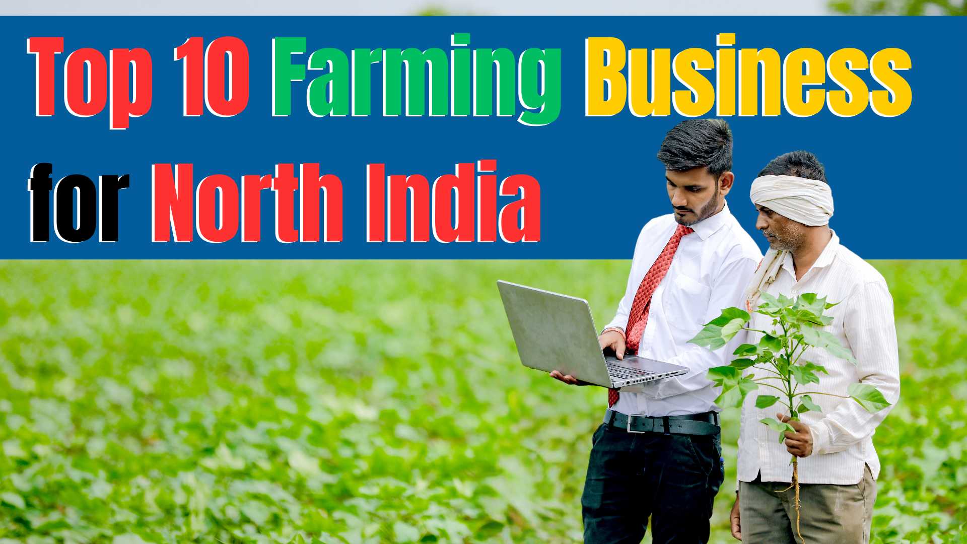 Top 10 Farming Business for North India